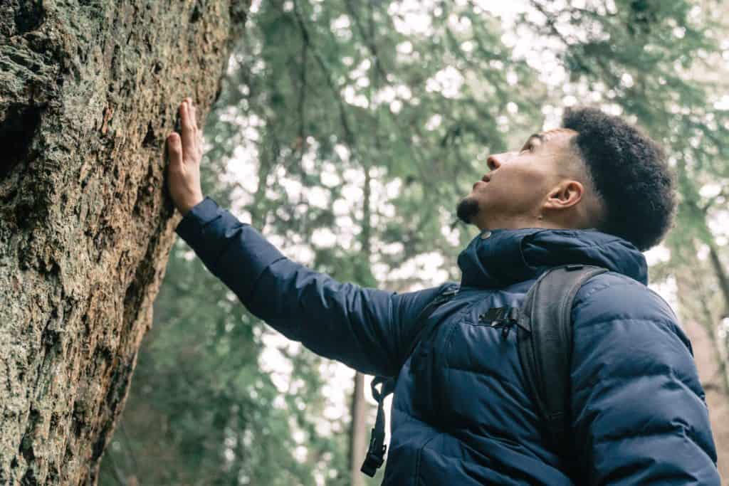 Erdung Mann an einem Baum